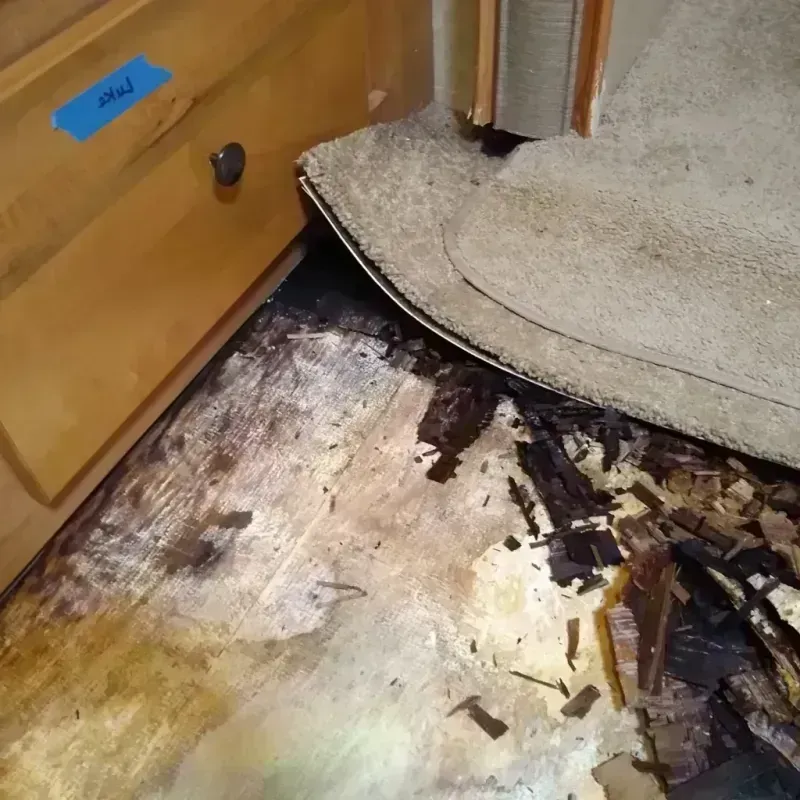 Wood Floor Water Damage in Travilah, MD